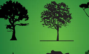 Tree Silhouette Pack